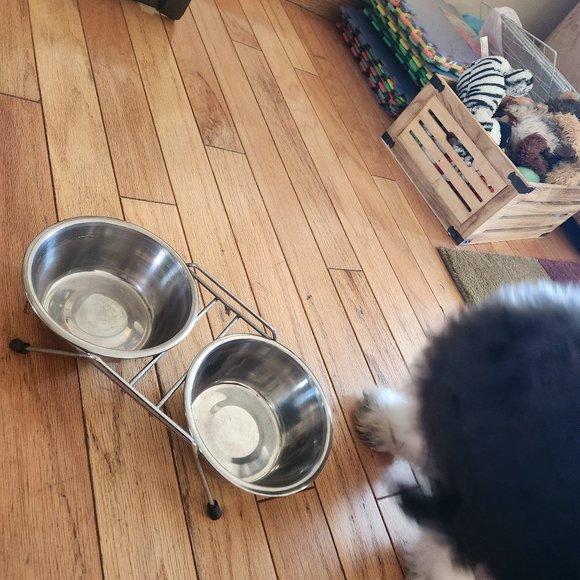 DOGGIE DINER (dog NOT included) - Picture 2 of 3